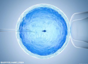 代妈应聘公司